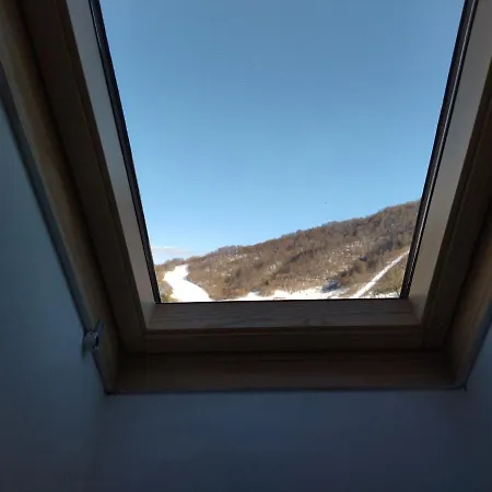 Ana 므르코팔리